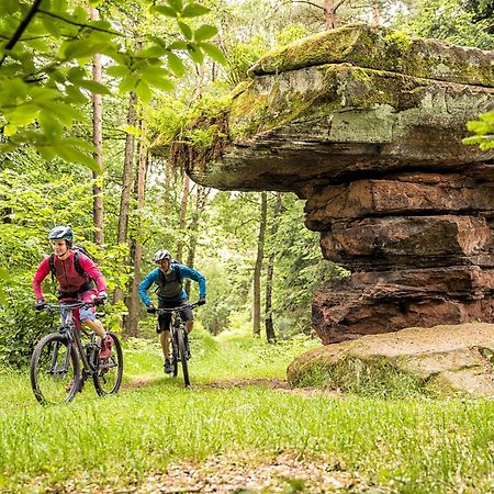 Ferienhaus Storchenblick Bann Zewnętrze zdjęcie
